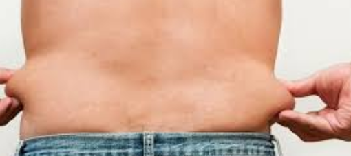 Does L-carnitine reduce belly fat.png
